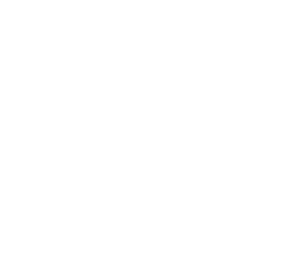 Free Shipping Icon